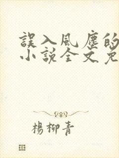 误入风尘的爱情小说全文免费阅读