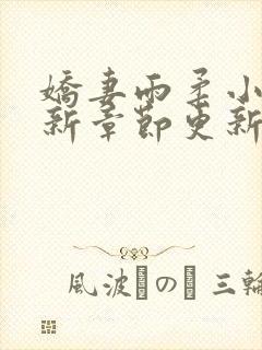 娇妻雨柔小说最新章节更新