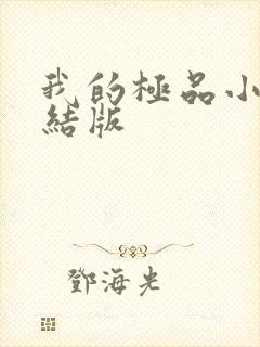 我的极品小姨完结版