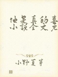 他是真的喜欢你小说全文免费阅读