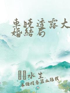 车晓透露大男当婚结局