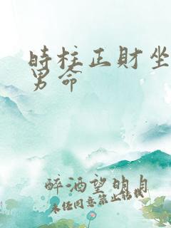 时柱正财坐伤官男命