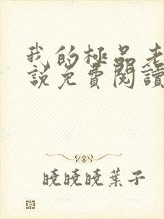 我的极品老婆小说免费阅读全文