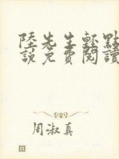 陆先生轻点抱小说免费阅读