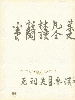 小说林凡叶惜免费阅读全文最新