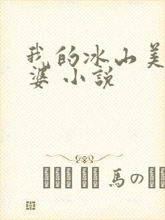 我的冰山美女老婆 小说