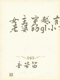 女主穿越有很多老婆的gl小说