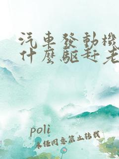 汽车发动机舱用什么驱赶老鼠比较好