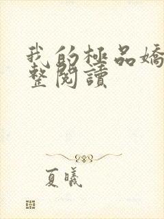 我的极品娇妻完整阅读