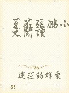 夏薇张鹏小说全文阅读