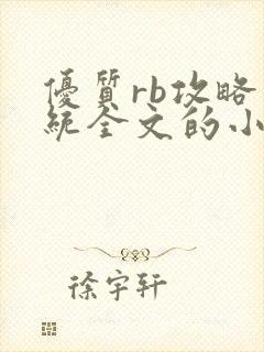 优质rb攻略系统全文的小说