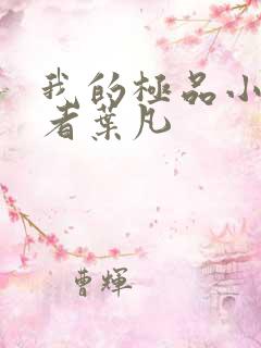 我的极品小姨作者叶凡