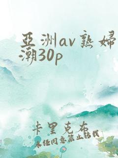 亚洲av熟妇高潮30p