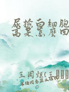 尿检白细胞计数高是怎么回事