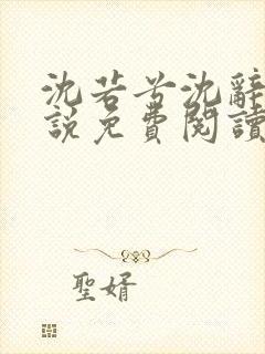 沈若兮沈辞安小说免费阅读最新章节