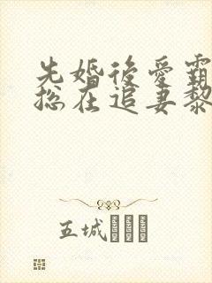 先婚后爱霸总他总在追妻黎浅全文在线阅读