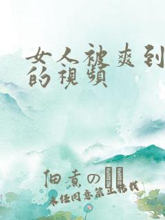 女人被爽到高潮的视频