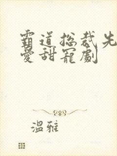 霸道总裁先婚后爱甜宠剧