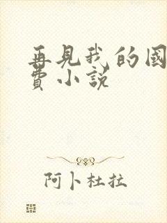 再见我的国王免费小说