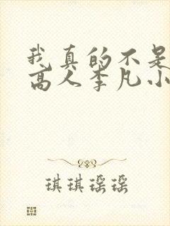 我真的不是绝世高人李凡小说