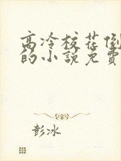 高冷校花倒追我的小说免费阅读