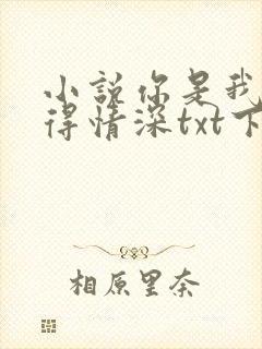 小说你是我的难得情深txt下载