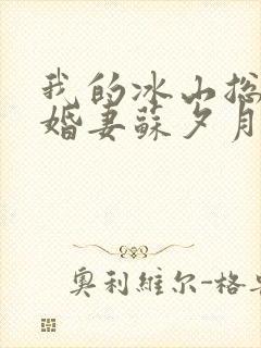 我的冰山总裁未婚妻苏夕月叶辰