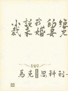 小说我的绝色总裁未婚妻免费阅读