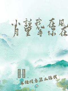 小说我在风花雪月里等你在线阅读