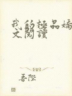 我的极品娇妻全文阅读