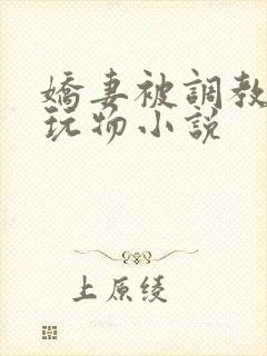 娇妻被调教沦为玩物小说