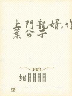 上门龙婿,作者叶公子