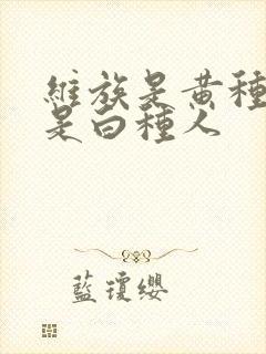 维族是黄种人还是白种人