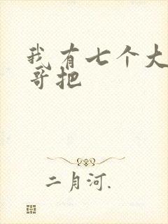 我有七个大佬哥哥把