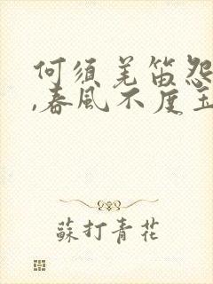 何须羌笛怨杨柳,春风不度玉门关的意思