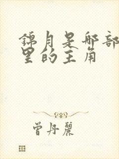 锦月是哪部小说里的主角