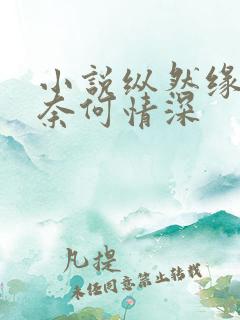 小说纵然缘浅,奈何情深