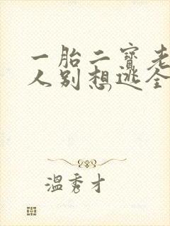 一胎二宝老婆大人别想逃全文免费阅读