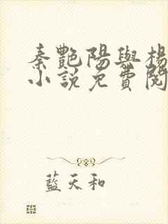 秦艳阳与杨飞的小说免费阅读无弹窗