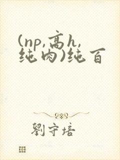 (np,高h,纯肉)纯百