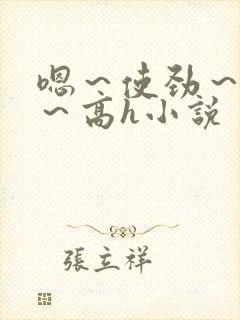 嗯～使劲～别停～高h小说