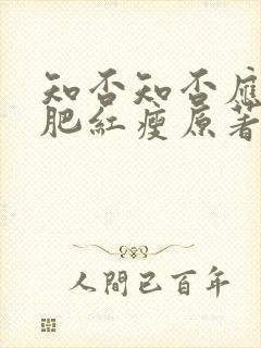 知否知否应是绿肥红瘦原著小说txt