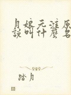 月娘元淮原著小说叫什么名字