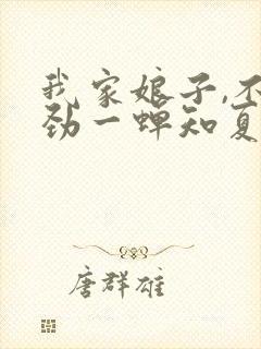 我家娘子,不对劲一蝉知夏下载