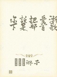 你说把爱渐渐放下是哪首歌的歌词