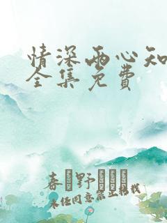 情深两心知短剧全集免费