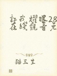 许我耀眼28集在线观看免费高清版