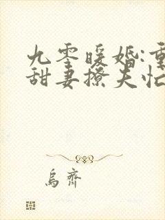 九零暖婚:重生甜妻撩夫忙小说免费