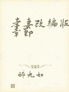 孝妻改编版全部章节