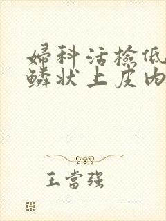 妇科活检低级别鳞状上皮内病变